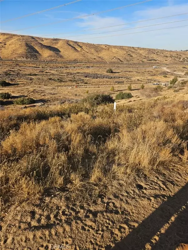 Hesperia, CA 92345,0 01N-11E-17