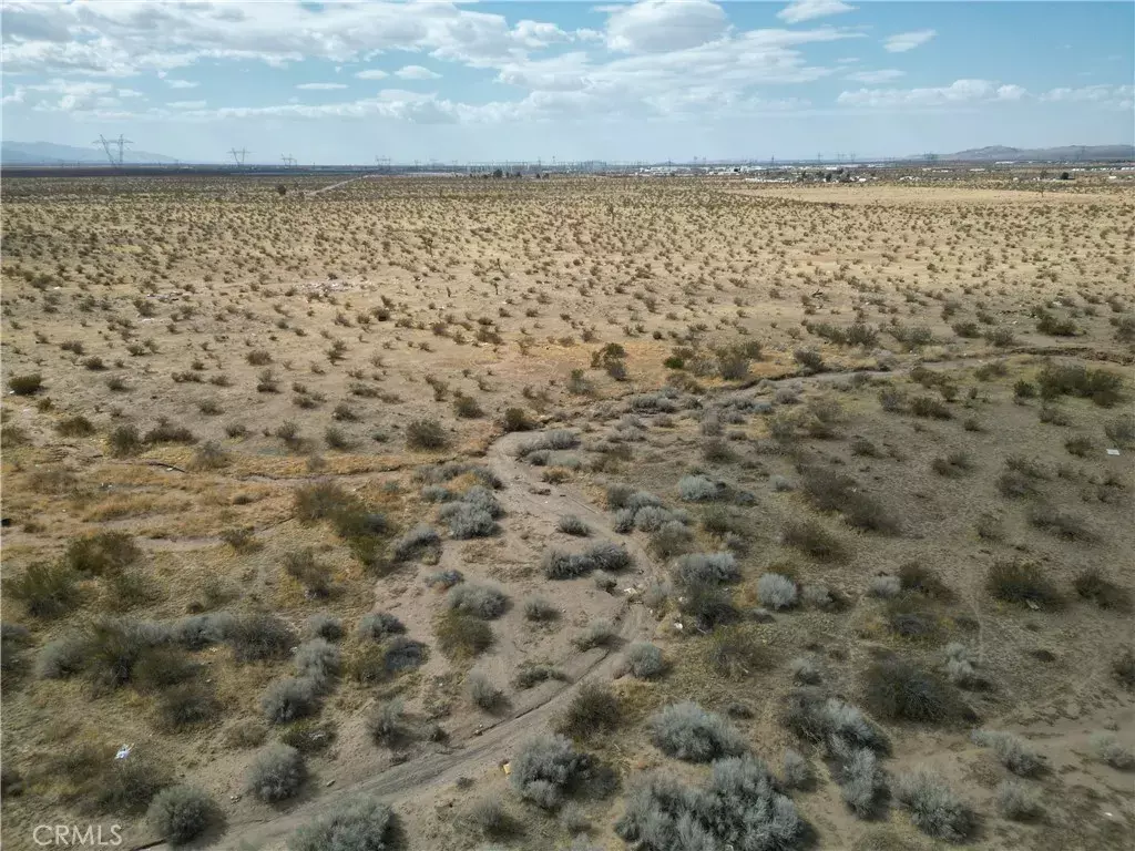 Adelanto, CA 92301,0 Pansy