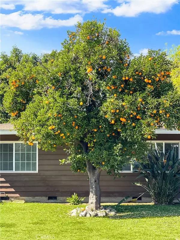 West Covina, CA 91790,307 N Morris Avenue