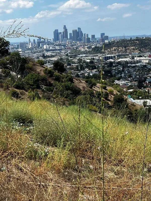 Lincoln Heights, CA 90031,627 E Avenue 28
