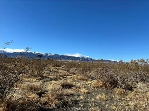 Pinon Hills, CA 92372,12650 Wintergreen