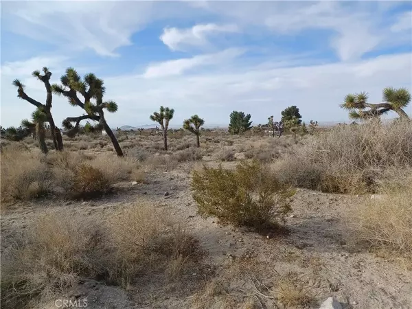 0 Goss/Buena Vista, Pinon Hills, CA 92372
