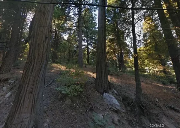 Cedarpines Park, CA 92322,20 Burnt Mill Canyon