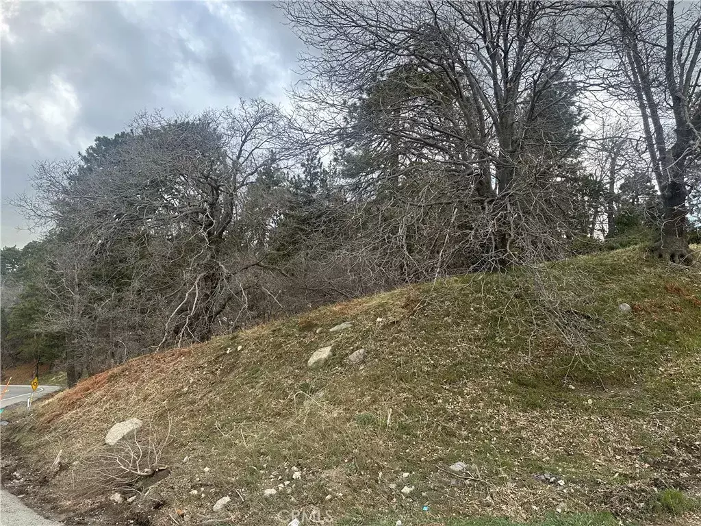 Cedar Glen, CA 92321,0 Torrey