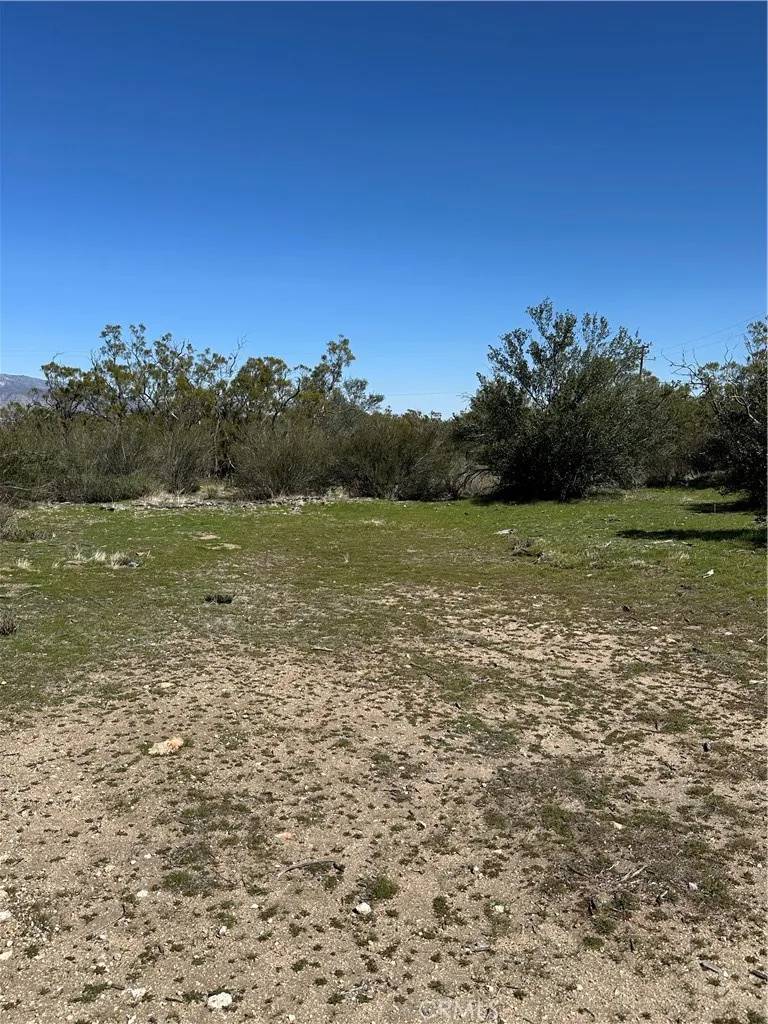 Anza, CA 92539,44805 Chapman