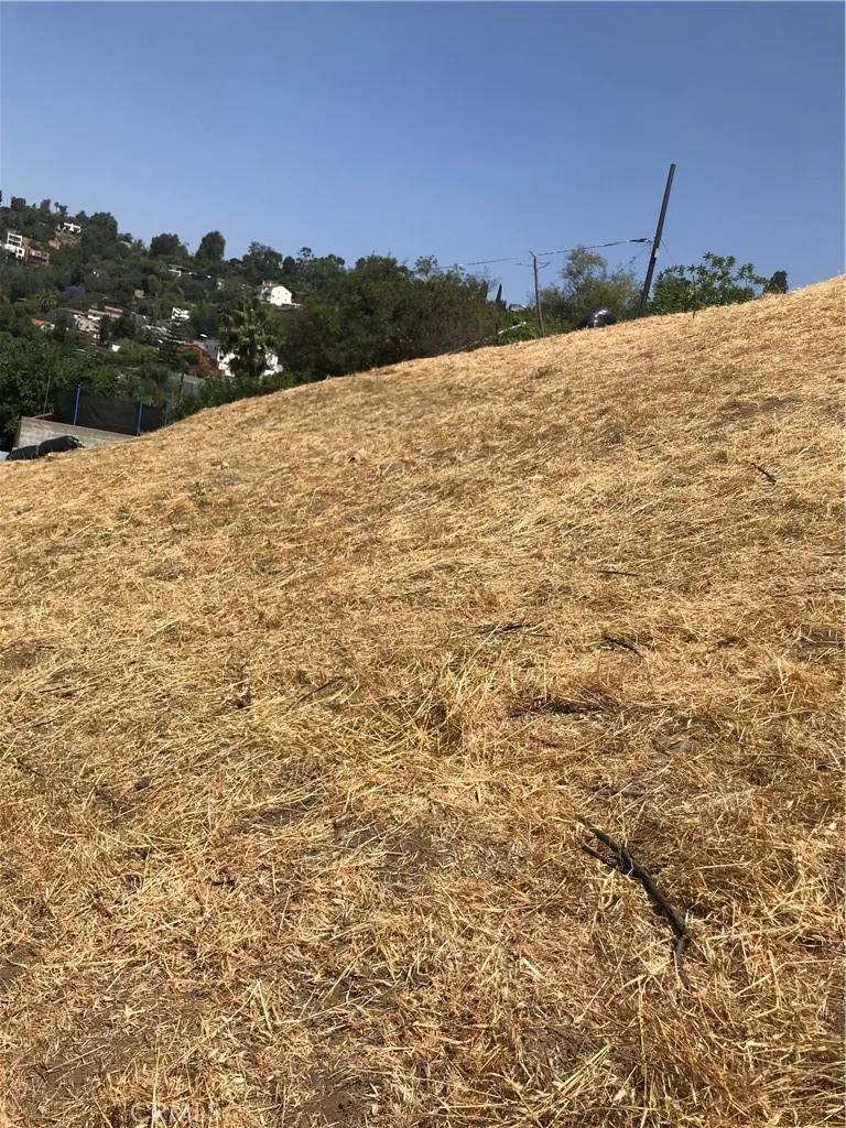 0 THORPE, Los Angeles, CA 90065