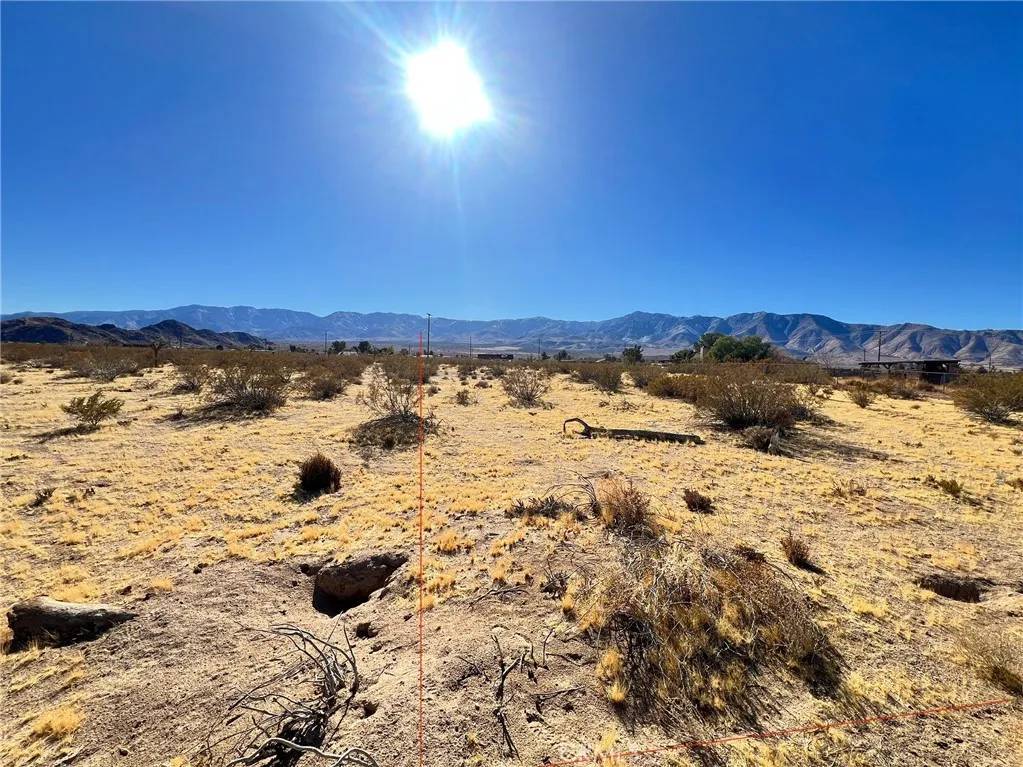 Lucerne Valley, CA 92356,31340 Morningside St