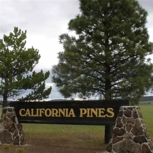 Alturas, CA 96101,0 Lot 5 and 6 Block 75 - Unit 3