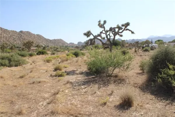 Pioneertown, CA 92668,0 Minna Gombell Ln.