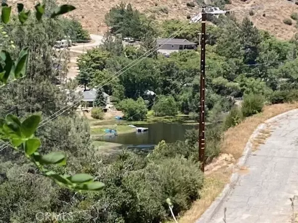 Lake Hughes, CA 93532,18155 Newview