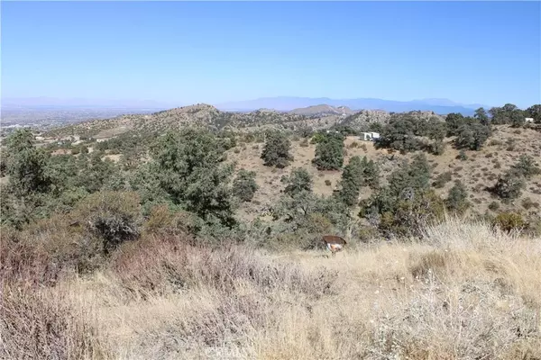Pinon Hills, CA 92397,7935 Scenic