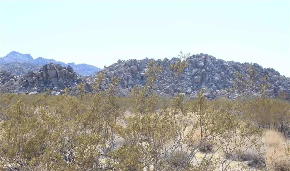 66250 Sullivan, Joshua Tree, CA 92252