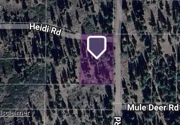 0 Lot 45 and 46 Block 37, Unit 5, Alturas, CA 96101
