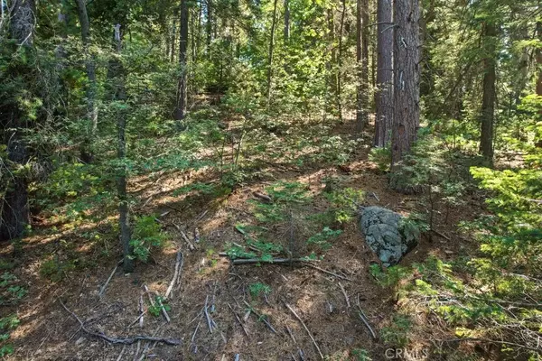 Blue Jay, CA 92317,1 Ca-189
