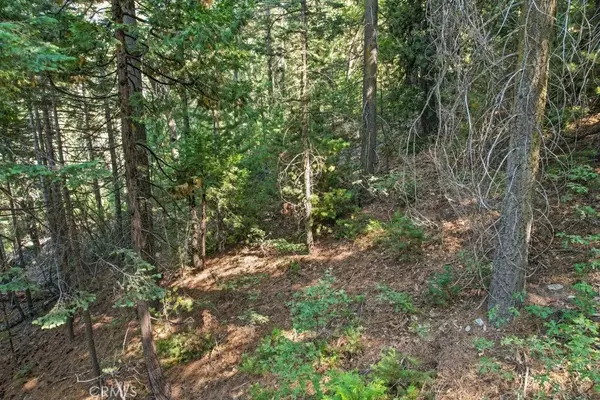 Blue Jay, CA 92317,1 Ca-189
