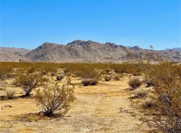 Joshua Tree, CA 92252,0 Dennis