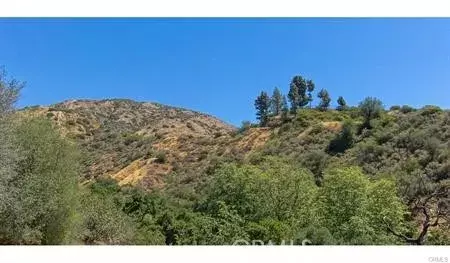 Claremont, CA 91711,0 Palmer Canyon