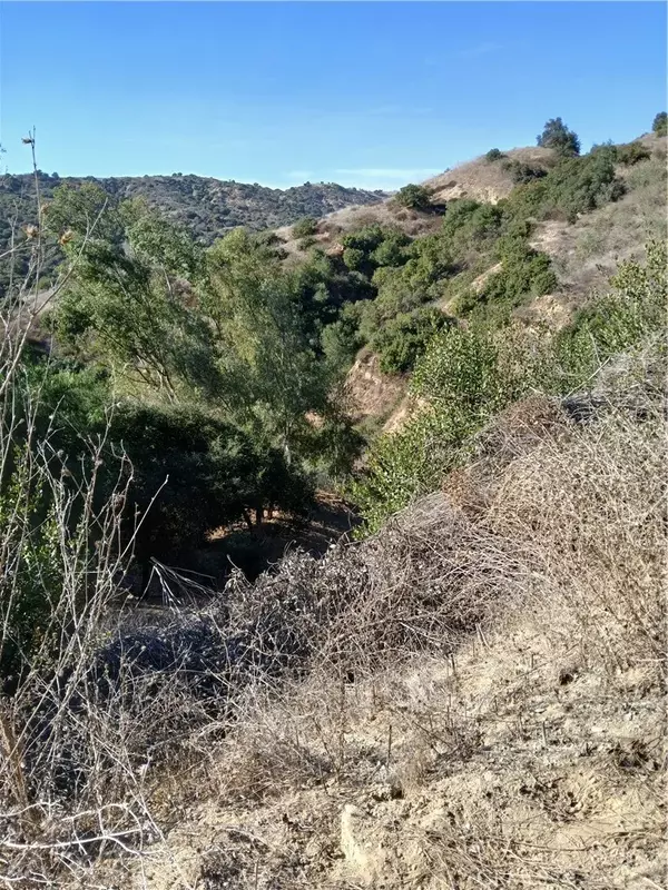 Chino Hills, CA 91709,16766 Sunset