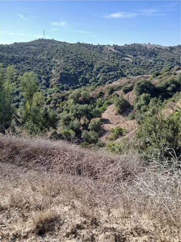 Chino Hills, CA 91709,16766 Sunset