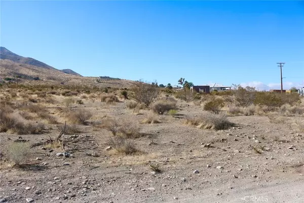 Apple Valley, CA 92308,0 Juniper