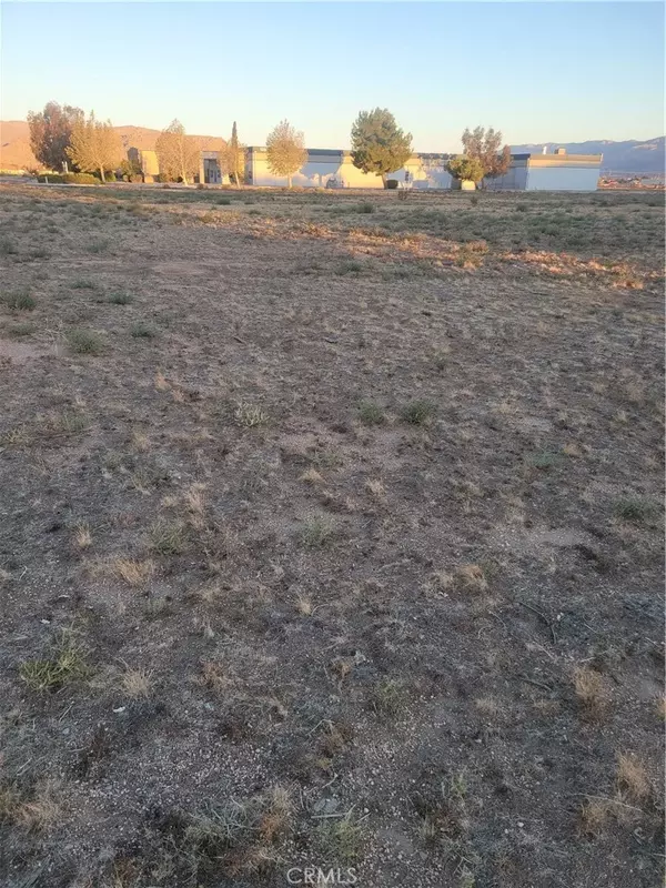 Apple Valley, CA 92308,0 Malaki