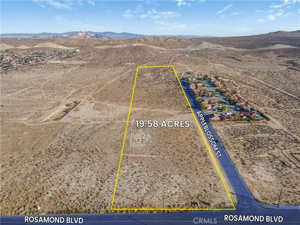 Rosamond, CA 93560,0 Appleblossom