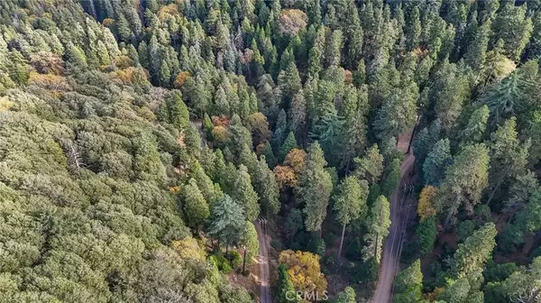 Cedarpines Park, CA 92322,5 Deer Run