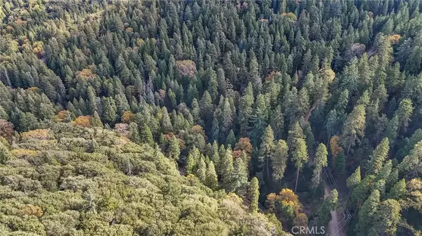 Cedarpines Park, CA 92322,5 Deer Run