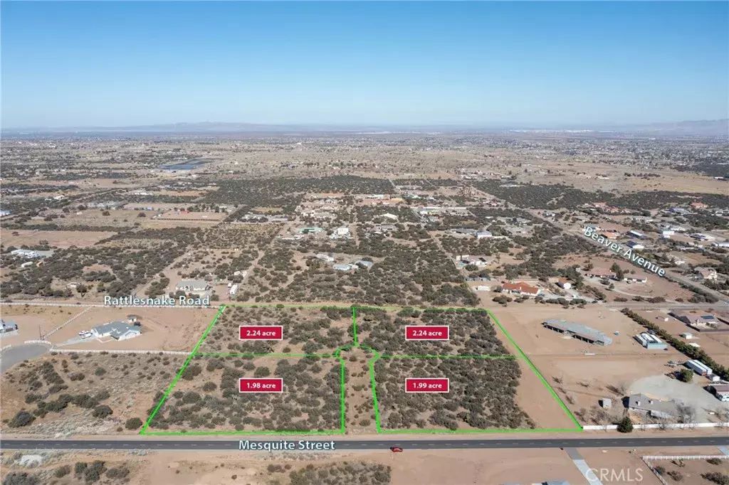 Phelan, CA 92371,1 Mesquite