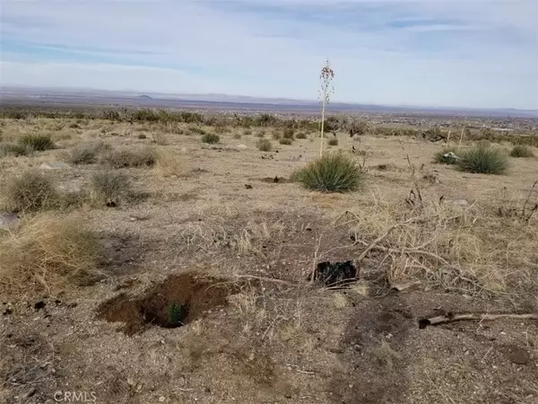 Llano, CA 93544,260 Avenue Z14/260 Ste