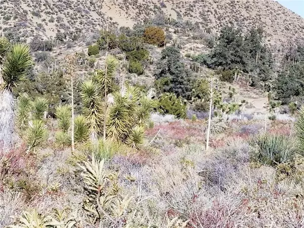 Llano, CA 93544,0 Vac/Vic Avenue Z14/235 Ste