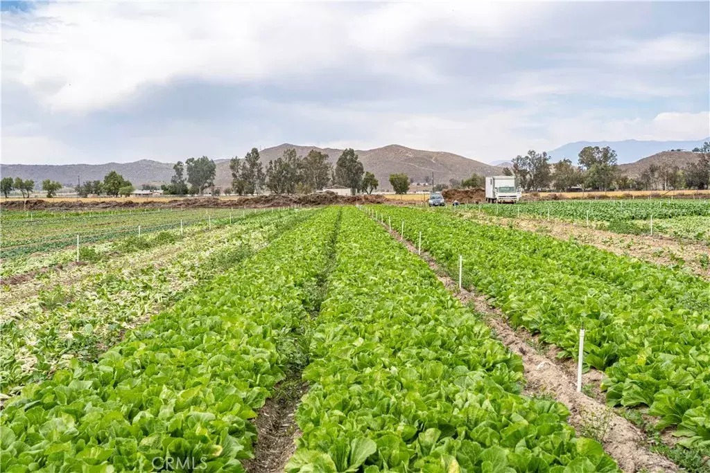 Winchester, CA 92596,34250 Olive