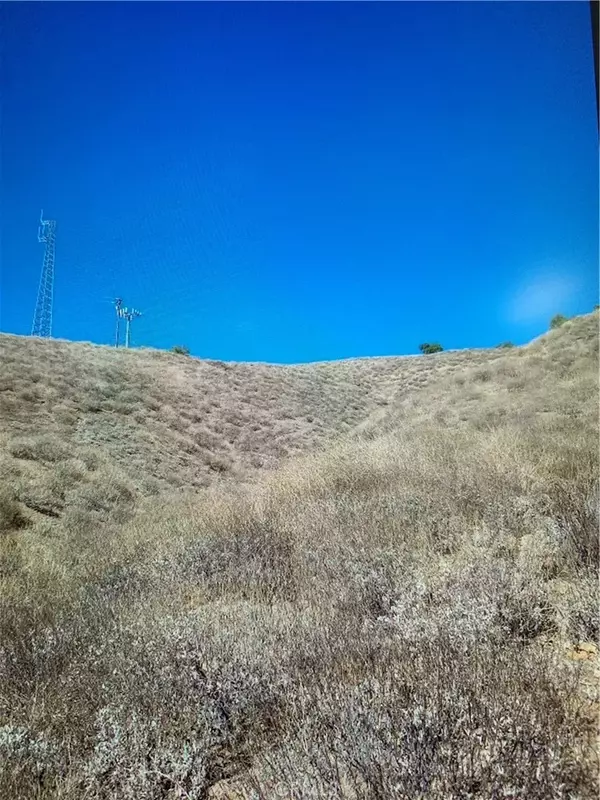 Lake Elsinore, CA 92530,0 Ridge
