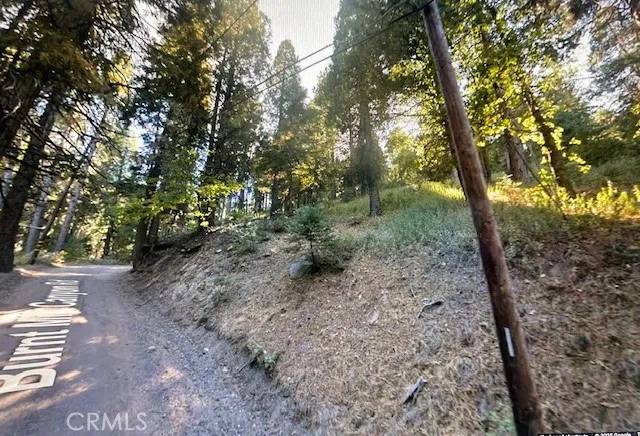0 Burnt Mill Canyon #20, Cedarpines Park, CA 92322