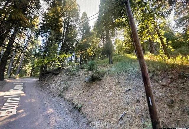 0 Burnt Mill Canyon #20, Cedarpines Park, CA 92322