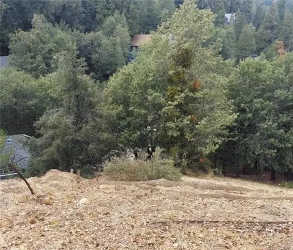 Crestline, CA 92325,0 Arbula