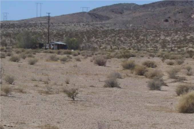 Newberry Springs, CA 92365,0 Mannix