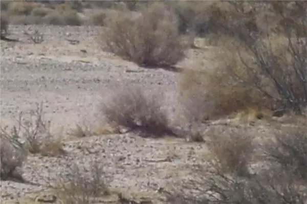 Newberry Springs, CA 92365,46016 MANIX Road