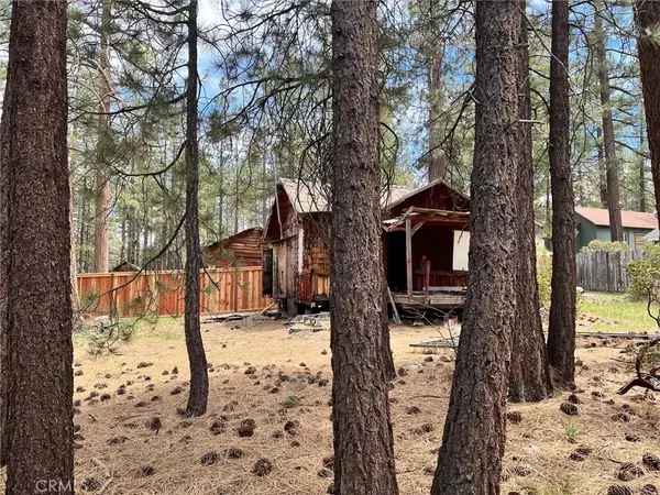 Big Bear Lake, CA 92315,641 Knight Avenue