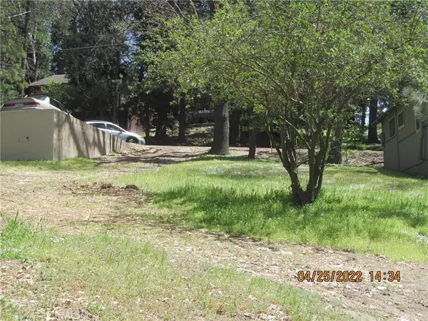 Crestline, CA 92325,0 Crest Forest