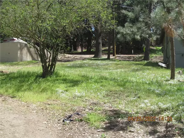 Crestline, CA 92325,0 Crest Forest