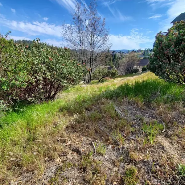 Lake Arrowhead, CA 92352,26870 Inyo