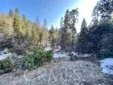 0 Mountain Home Creek, Angelus Oaks, CA 92305