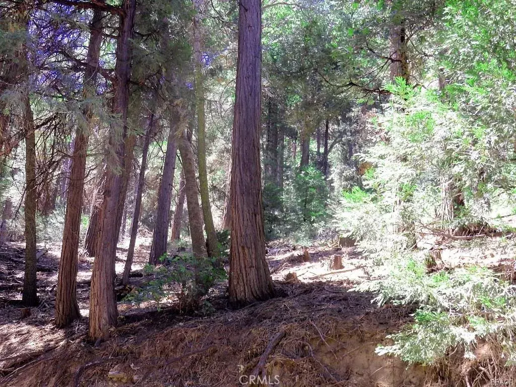 Cedarpines Park, CA 92322,8 Mojave River