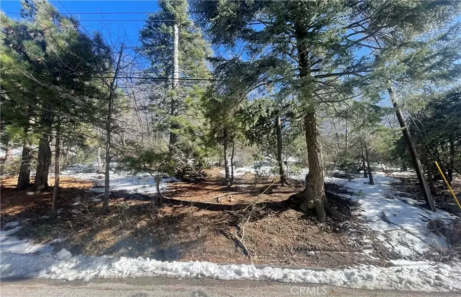 0 Mountain Home Creek, Angelus Oaks, CA 92305