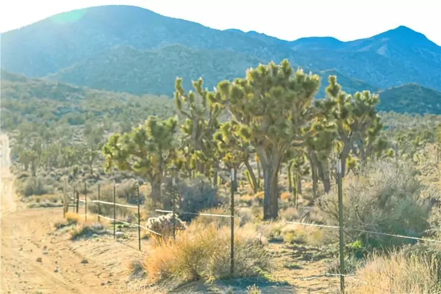 0 Viscera Springs Road, Pioneertown, CA 92268