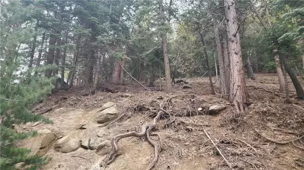 Crestline, CA 92325,60 Lausanne