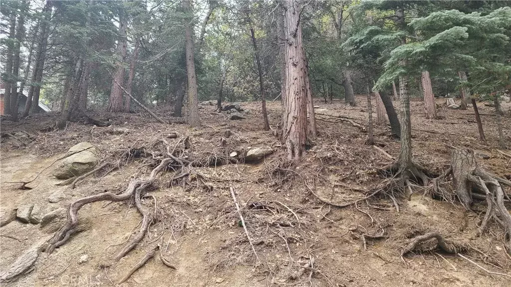 Crestline, CA 92325,60 Lausanne