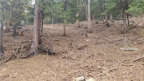 Crestline, CA 92325,60 Lausanne