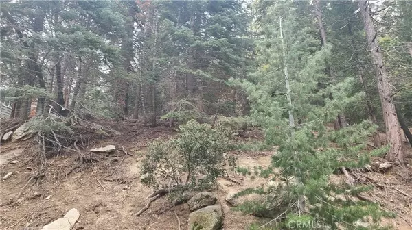 Crestline, CA 92325,60 Lausanne